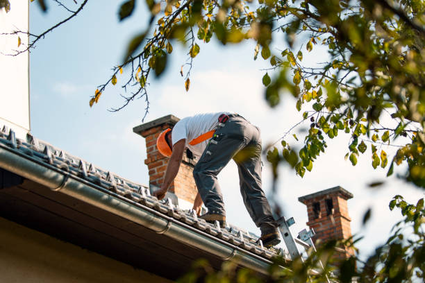 Best Roof Gutter Cleaning  in Hannibal, MO