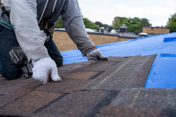 Best Commercial Roofing Services  in Hannibal, MO